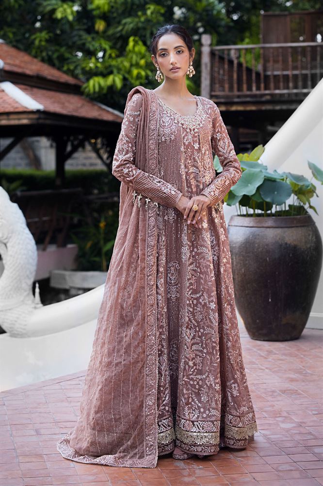 Mushq Fancy Collection - Elegant Embroidered Designsv